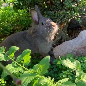 Meet your Posher, Keyi